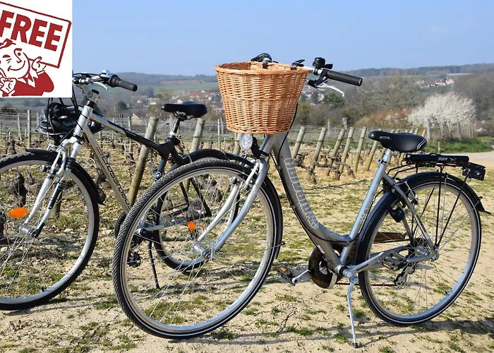 Le Logement Des Gardes De La Porte De Beaune Au Xviie Siècle Atypique Appartement